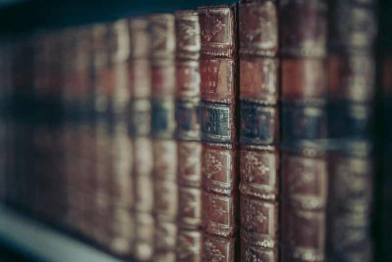 Soft-focus view of old, worn books lined up on a shelf
