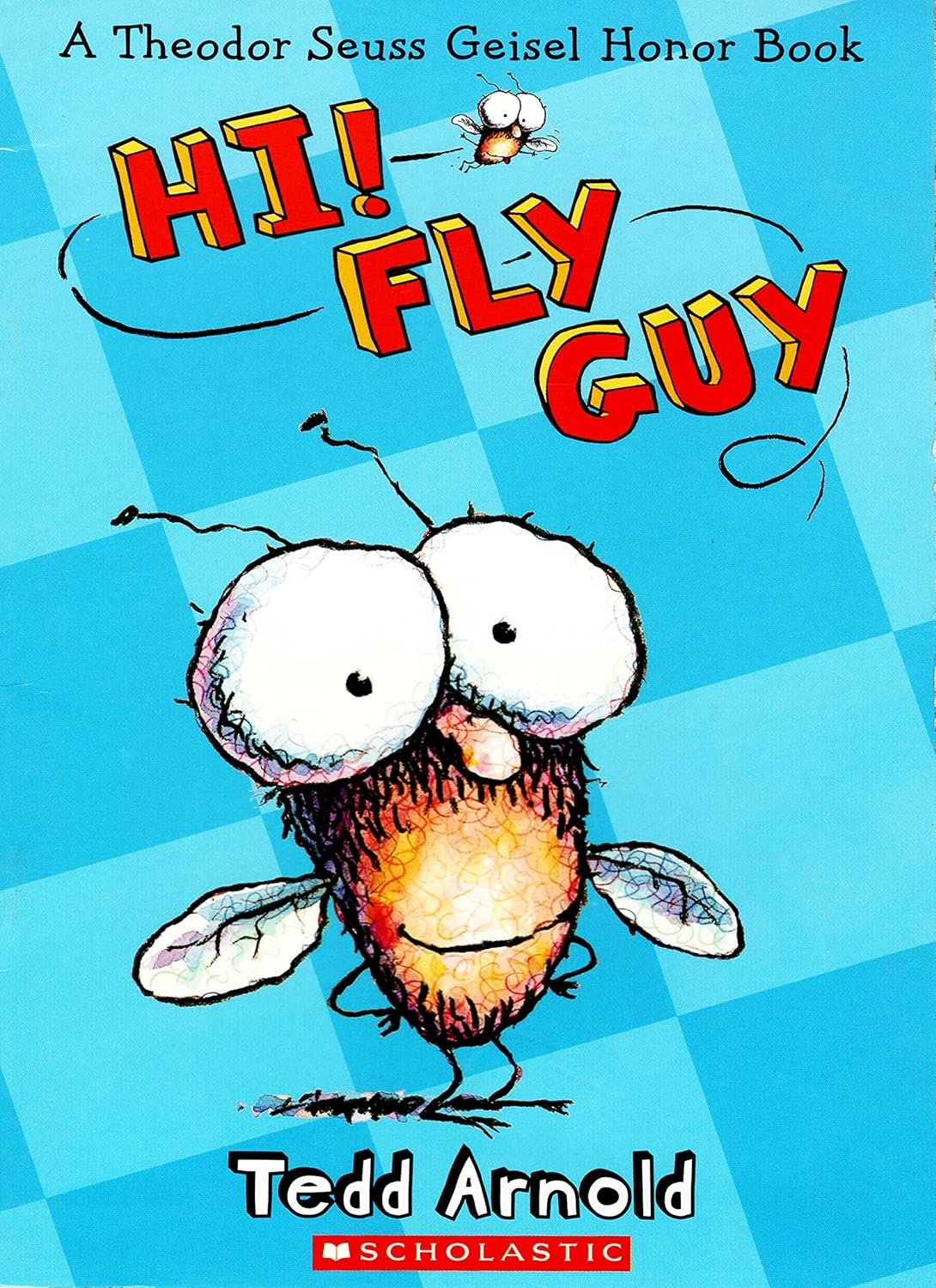 Hi! Fly Guy