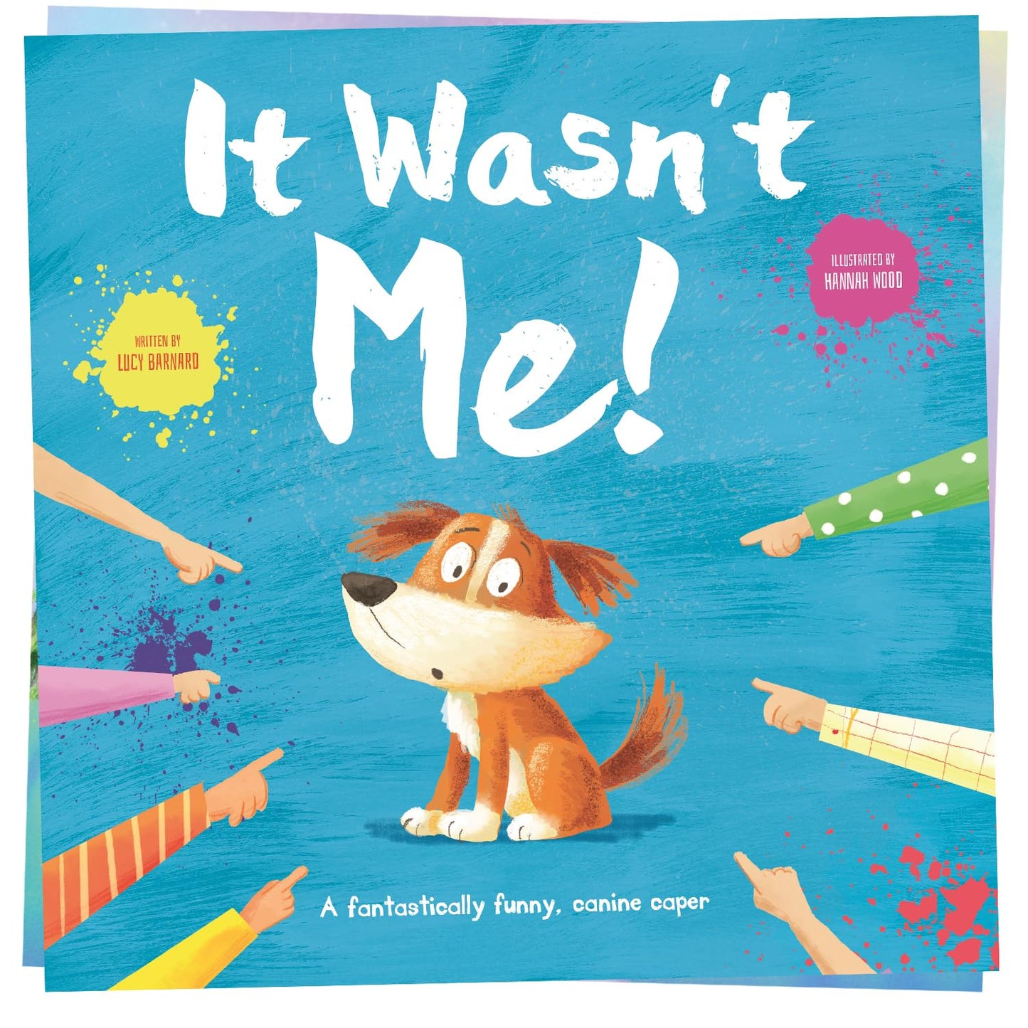 It Wasn't Me