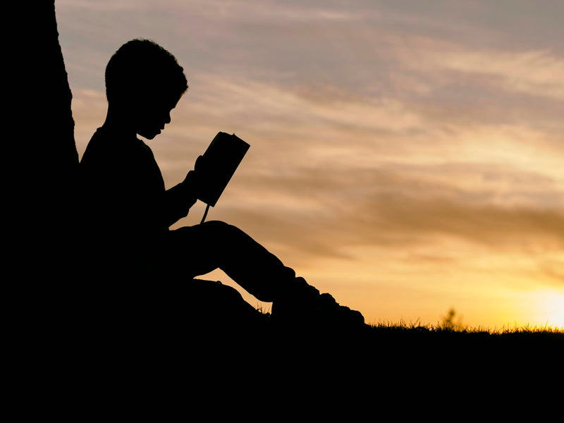 A child sitting alone outdoors at sunset, reading quietly