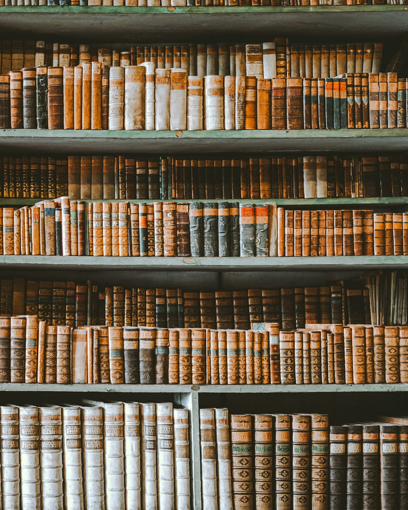 A library bookshelf filled with many books along an aisle.