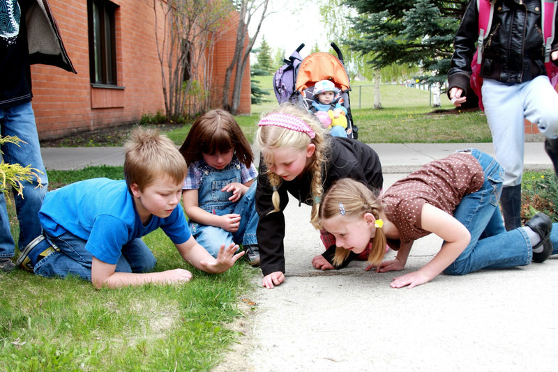 A group of young children crouched together on grass, curiously examining something small on the ground