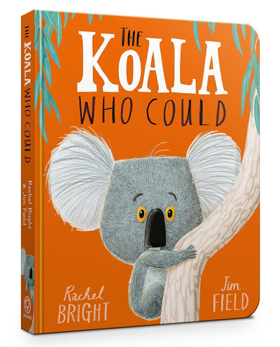 Koala who could