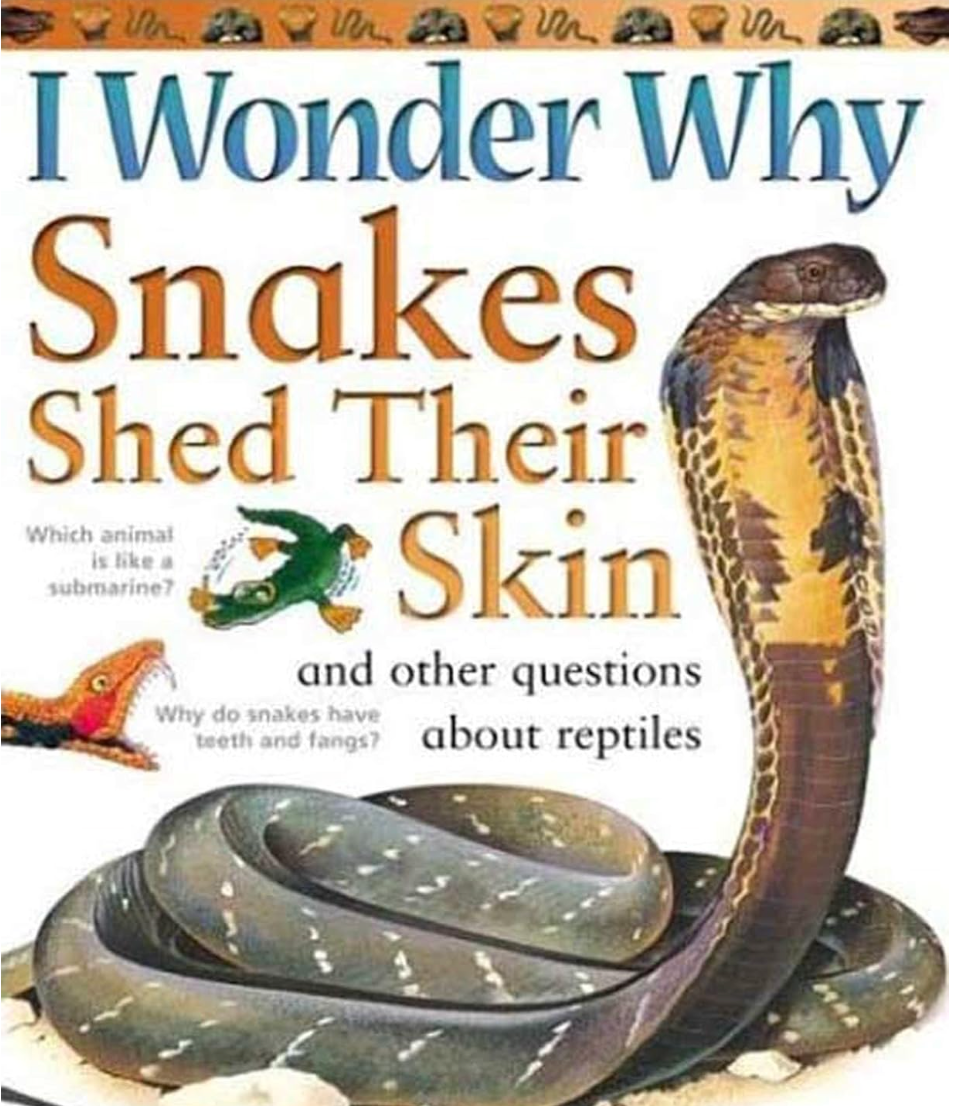 I Wonder Why Snakes Shed Their Skin