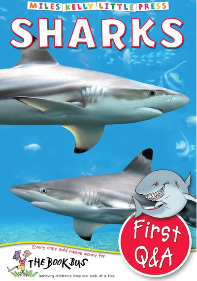 Sharks- Q&A