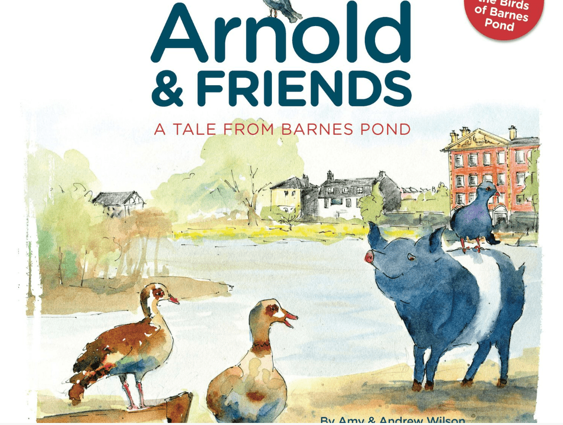 Arnold & Friends, A Tale from Barnes pond - RentToRead
