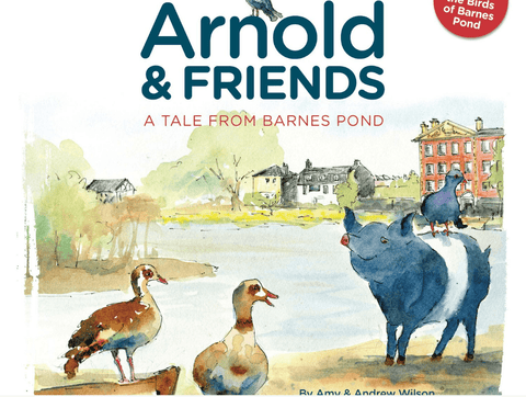 Arnold & Friends, A Tale from Barnes pond - RentToRead